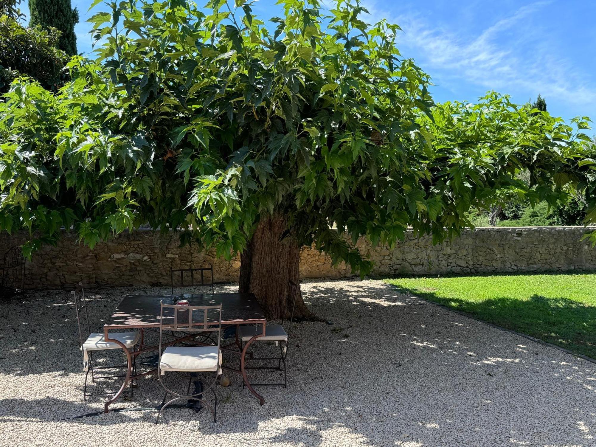 شقة Bastide Du Buou Puyvert الغرفة الصورة